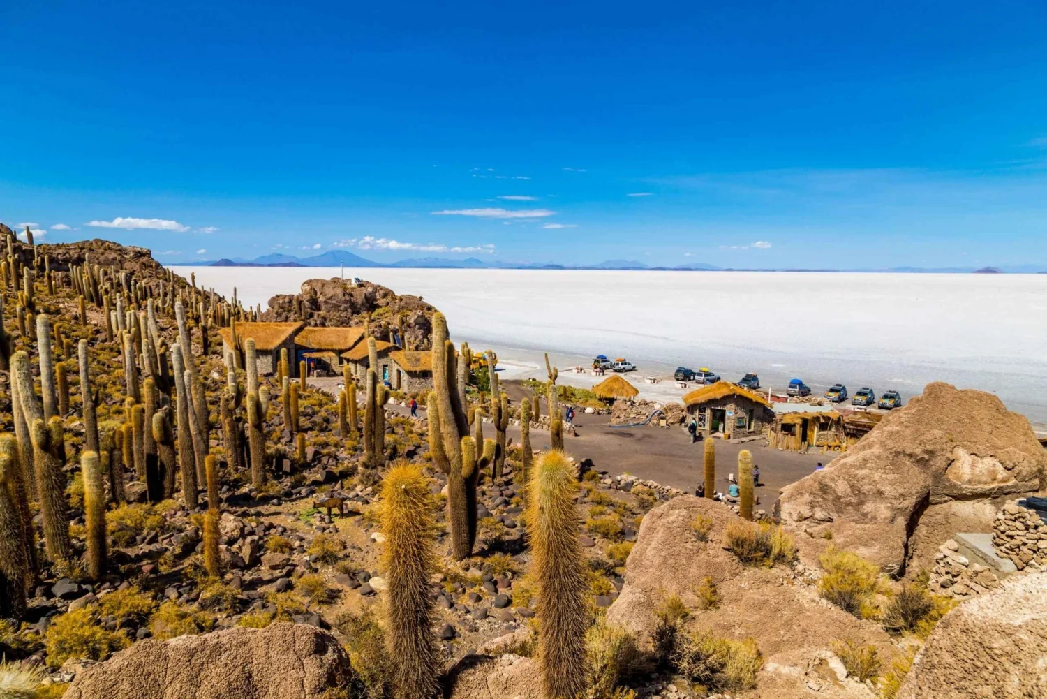 Isla Incahuasi, Sur de Bolivia