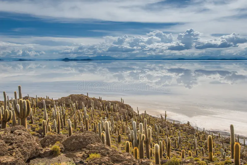 Salar de Uyuni